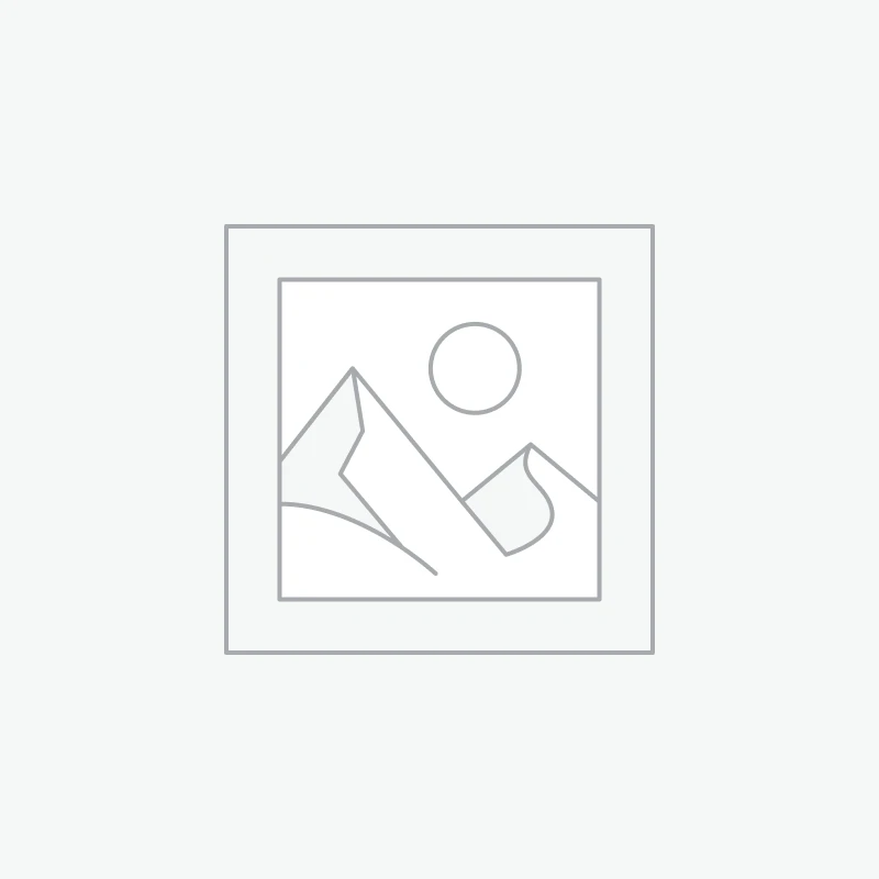 Brushless Motor Fans